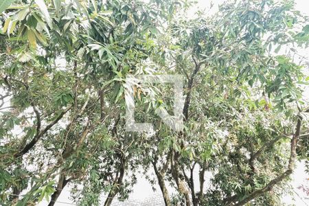 Apartamento à venda com 68m², 3 quartos e 1 vaga Apartamento à venda com 68m², 3 quartos e 1 vagaVista do Quarto 1