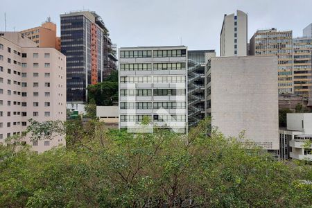 Vista de apartamento para alugar com 2 quartos, 67m² em Jardim Paulista, São Paulo