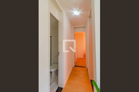 Corredor de apartamento para alugar com 2 quartos, 45m² em Jardim das Margaridas, Salvador