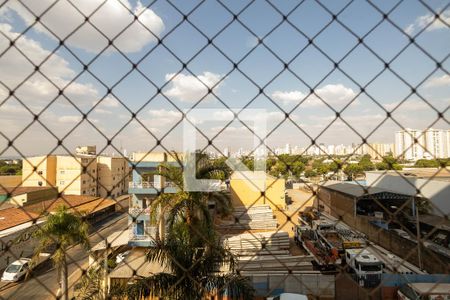 Vista da Sala de apartamento para alugar com 3 quartos, 80m² em Cidade Jardim, Goiânia