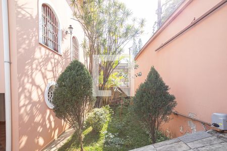 Casa para alugar com 300m², 3 quartos e 4 vagas Casa para alugar com 300m², 3 quartos e 4 vagasJardim