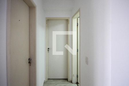 Corredor de apartamento para alugar com 2 quartos, 50m² em Vila Ivone, São Paulo