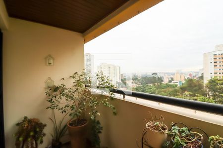 Varanda da Sala de apartamento para alugar com 3 quartos, 80m² em Vila Suzana, São Paulo