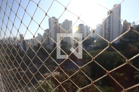 vista de apartamento para alugar com 2 quartos, 64m² em Vila Praia, São Paulo