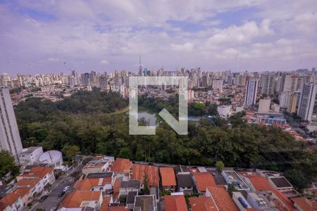 Varanda de apartamento à venda com 3 quartos, 250m² em Cambuci, São Paulo