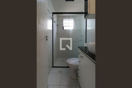 Banheiro de apartamento para alugar com 2 quartos, 48m² em Parque Munhoz, São Paulo