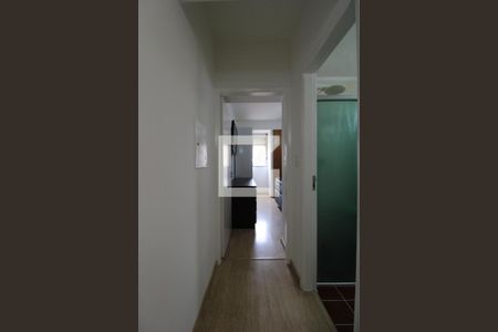 Corredor de apartamento para alugar com 1 quarto, 50m² em Centro, Campinas