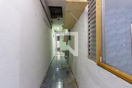 Quintal e Área de Serviço  de casa para alugar com 2 quartos, 100m² em Umuarama, Osasco