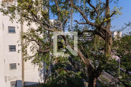 Sala Varanda Vista de apartamento para alugar com 3 quartos, 65m² em Rio Comprido, Rio de Janeiro