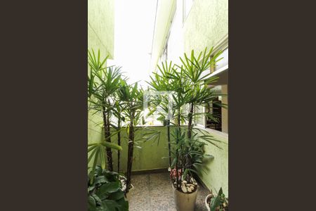 Varanda de casa à venda com 5 quartos, 420m² em Alto da Mooca, São Paulo