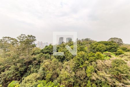 Vista da Varanda de apartamento para alugar com 2 quartos, 104m² em Paraíso do Morumbi, São Paulo