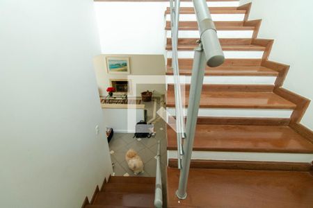 Escada de casa de condomínio para alugar com 4 quartos, 280m² em Granja Viana Ii, Cotia
