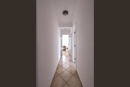 Corredor de apartamento para alugar com 3 quartos, 90m² em Vila Zilda, São Paulo