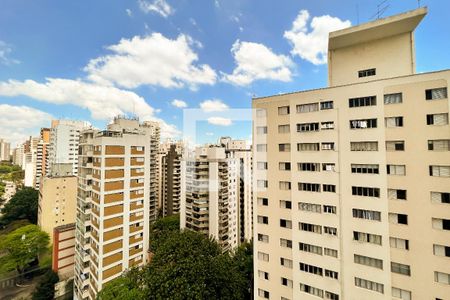 Vista de apartamento para alugar com 1 quarto, 46m² em Moema, São Paulo