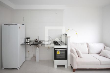 Cozinha e Área de Serviço de apartamento para alugar com 2 quartos, 33m² em Jardim Planalto, São Paulo