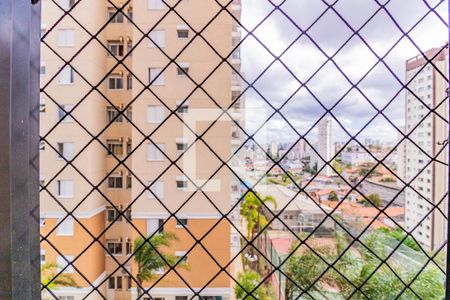 Vista do quarto 1 de apartamento para alugar com 3 quartos, 77m² em Vila Campestre, São Paulo