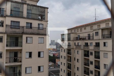 Varanda da Sala - Vista de apartamento para alugar com 3 quartos, 70m² em Nova Petrópolis, São Bernardo do Campo