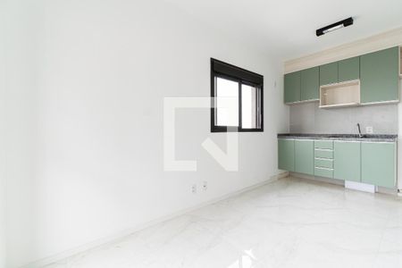 Sala  de apartamento para alugar com 1 quarto, 29m² em Vila Santa Catarina, São Paulo