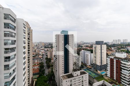 Vista de apartamento para alugar com 1 quarto, 29m² em Vila Santa Catarina, São Paulo