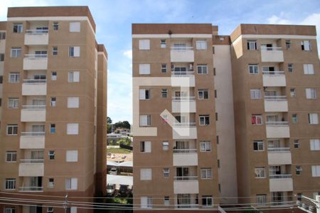Vista do Quarto 1 de apartamento para alugar com 2 quartos, 60m² em Jardim das Magnólias, Sorocaba