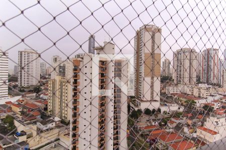 Vista de apartamento para alugar com 3 quartos, 132m² em Vila Regente Feijó, São Paulo