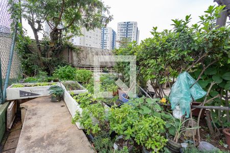 Apartamento para alugar com 120m², 3 quartos e 2 vagas Apartamento para alugar com 120m², 3 quartos e 2 vagasÁrea comum - horta