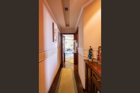 Corredor de apartamento para alugar com 3 quartos, 167m² em Vila Matilde, São Paulo