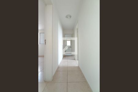 Corredor de apartamento para alugar com 3 quartos, 62m² em Jardim Márcia, Campinas