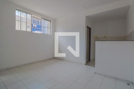 Sala / Quarto de apartamento para alugar com 1 quarto, 45m² em Vila Canero, São Paulo