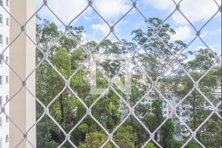 Vista do Quarto 1 de apartamento à venda com 2 quartos, 40m² em Jardim São Savério, São Bernardo do Campo