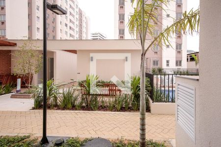 Vista Sala de apartamento para alugar com 1 quarto, 45m² em Piedade, Rio de Janeiro