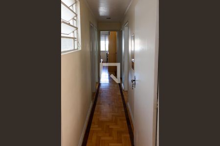 Corredor de apartamento para alugar com 4 quartos, 110m² em Rio Branco, Porto Alegre