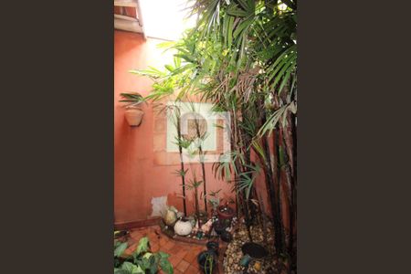 Sala de Jantar - jardim de inverno de casa à venda com 3 quartos, 170m² em Jardim Conceição, Campinas