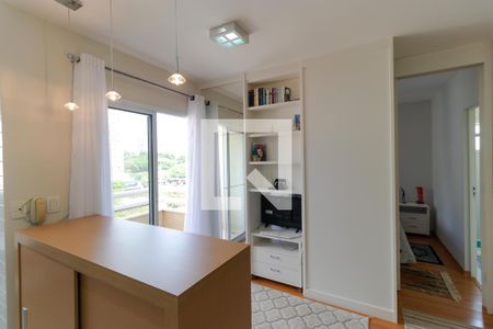 Salas de apartamento para alugar com 1 quarto, 45m² em Cambuí, Campinas