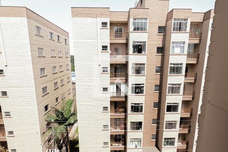 Vista da Varanda de apartamento para alugar com 2 quartos, 57m² em Jardim Iporanga, Guarulhos