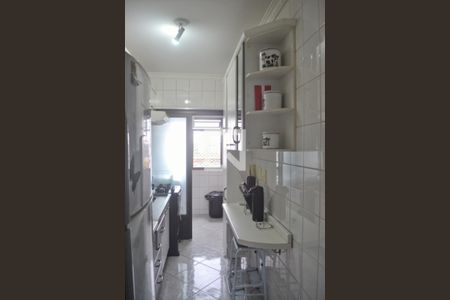 Cozinha de apartamento à venda com 3 quartos, 63m² em Vila Arapua, São Paulo