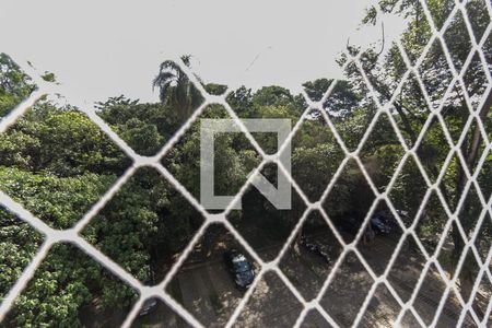 Vista do Quarto 1 de apartamento para alugar com 2 quartos, 48m² em Vila Carmosina, São Paulo