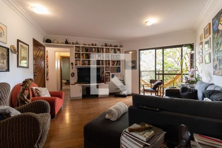Sala de apartamento para alugar com 3 quartos, 117m² em Aclimação, São Paulo