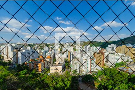 Vista de apartamento à venda com 4 quartos, 156m² em Buritis, Belo Horizonte