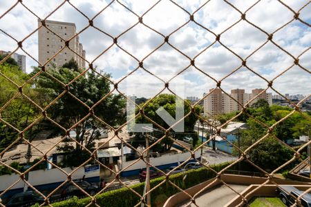 Vista do Quarto 1 de apartamento para alugar com 2 quartos, 53m² em Vila Pita, São Paulo