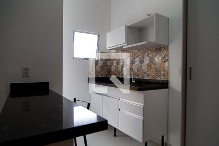 Cozinha de apartamento para alugar com 1 quarto, 24m² em Vila Fachini, São Paulo