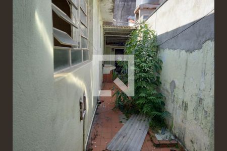 Casa à venda com 2 quartos, 83m² em Belenzinho, São Paulo