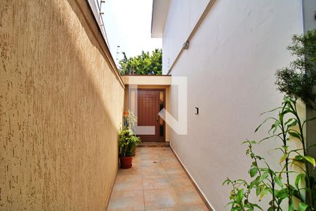 Casa para alugar com 143m², 3 quartos e 2 vagas Casa para alugar com 143m², 3 quartos e 2 vagasÁrea Externa