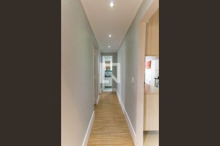 Corredor de apartamento para alugar com 2 quartos, 49m² em Vila Emir, São Paulo