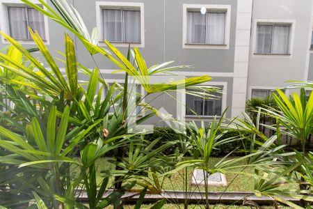 Vista do Quarto 1 de apartamento para alugar com 2 quartos, 50m² em Vila Ina, São José dos Pinhais