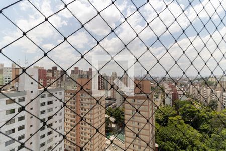 Vista da Varanda da Sala de apartamento para alugar com 2 quartos, 50m² em Jardim Celeste, São Paulo