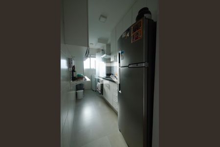 Cozinha de apartamento para alugar com 2 quartos, 49m² em Ipiranga, São Paulo