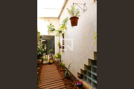 Jardim interno de casa à venda com 4 quartos, 230m² em Parque Oratório, Santo André