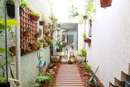 Jardim interno de casa à venda com 4 quartos, 230m² em Parque Oratório, Santo André