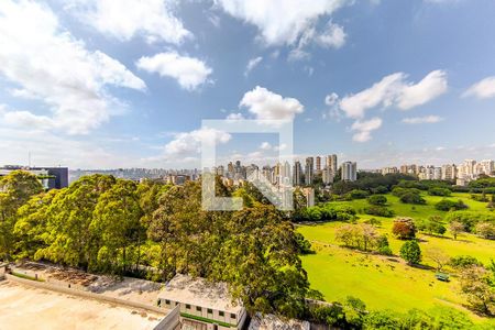 Vista de apartamento para alugar com 2 quartos, 40m² em Paraíso do Morumbi, São Paulo